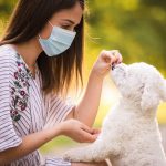 Les 5 meilleures récompenses pour éduquer votre chien comme un pro !