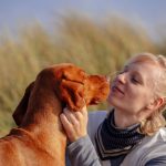 Les 5 secrets pour une entente parfaite entre chiens – Découvrez comment rendre votre cohabitation canine magique !