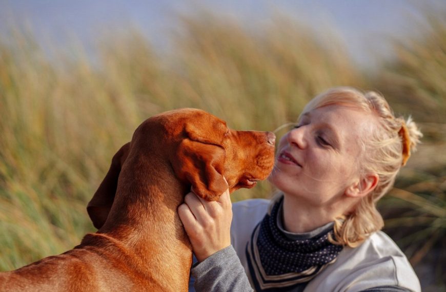 Les 5 secrets pour une entente parfaite entre chiens – Découvrez comment rendre votre cohabitation canine magique !
