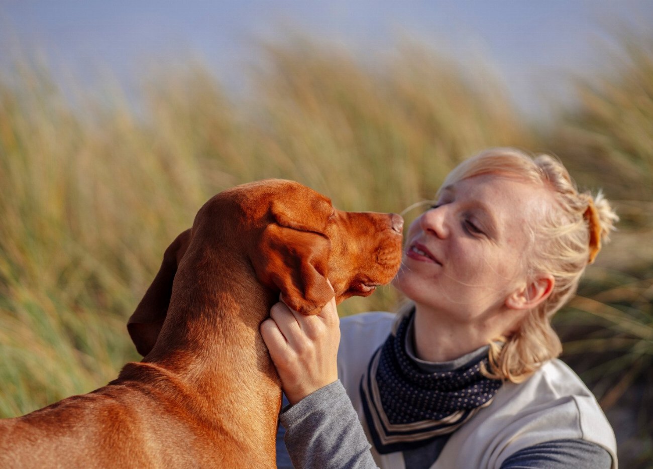 Les 5 secrets pour une entente parfaite entre chiens –…