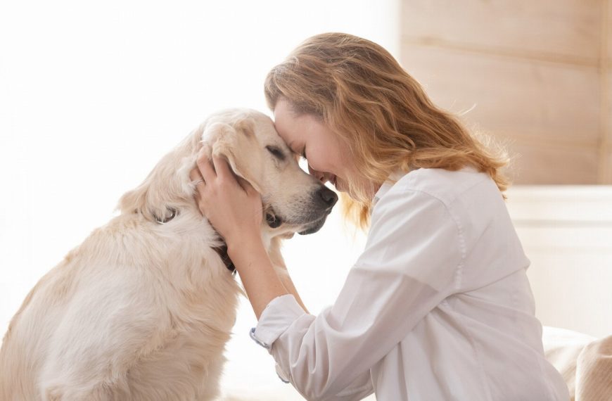 Les câlins : la clé du bonheur pour votre chien !