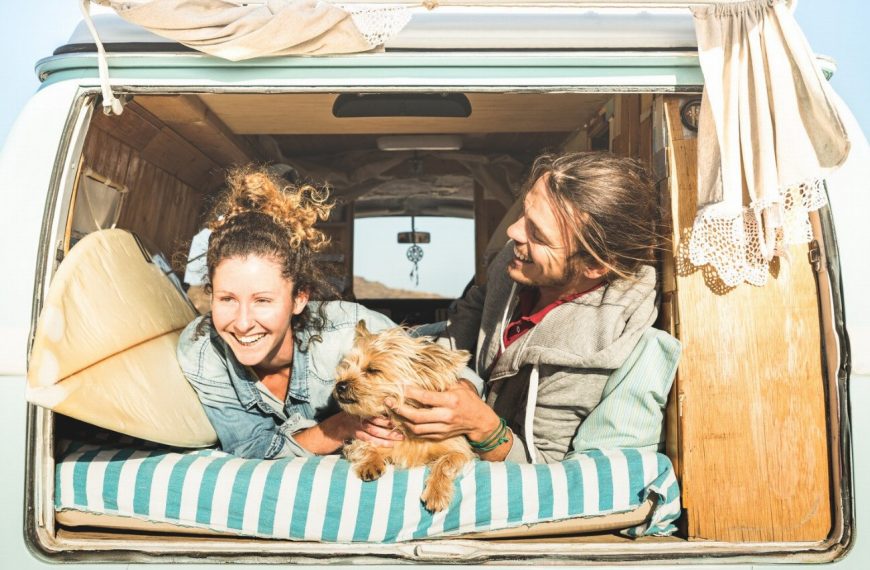 Les secrets pour voyager avec votre chien en camping-car : tout ce que vous devez savoir !