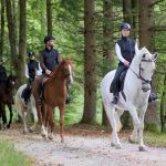 Merens : guide race de cheval