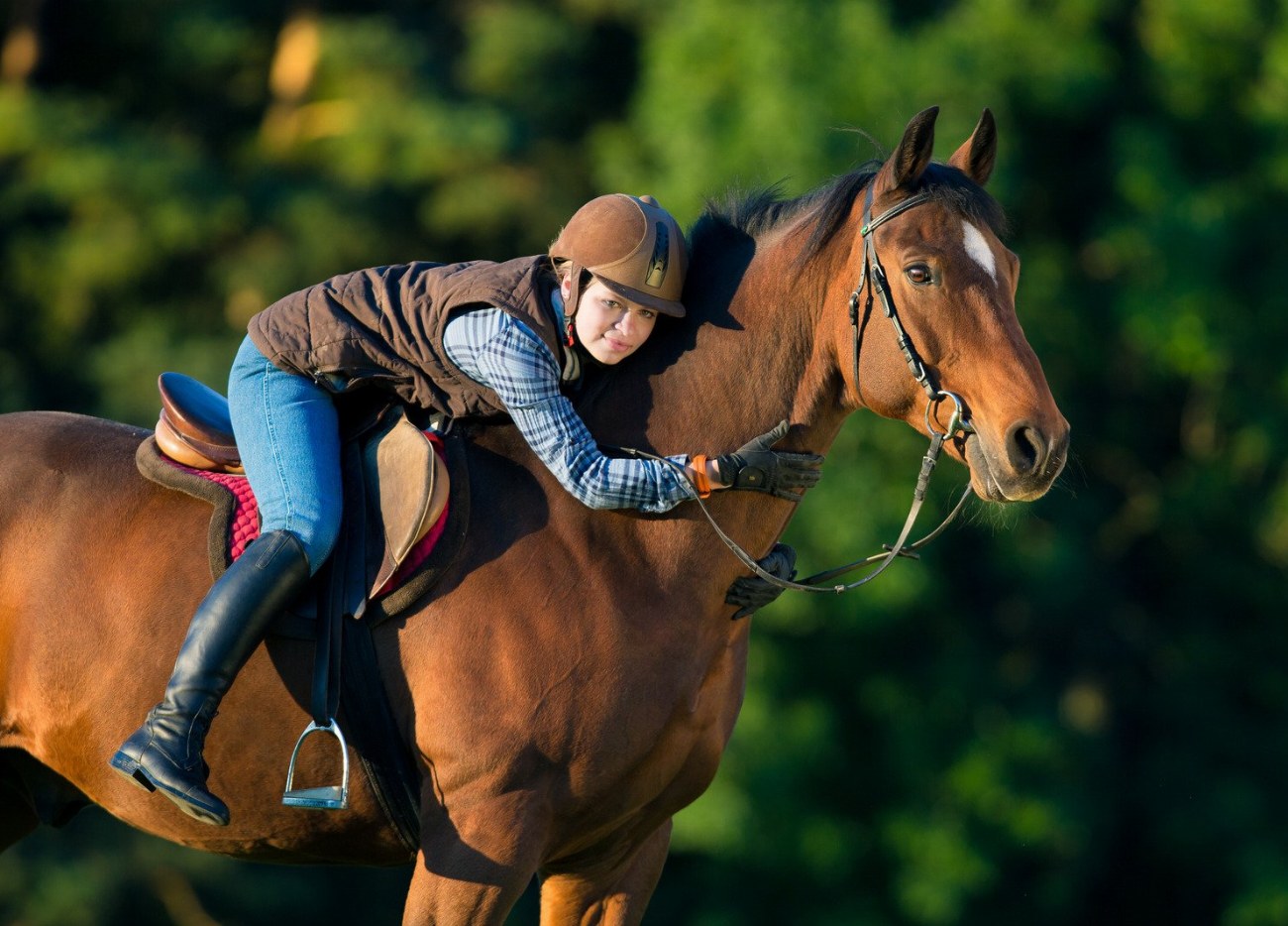 Nokota : guide race de cheval