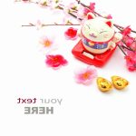 Oriental : guide race de chat