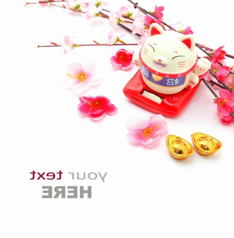 Oriental : guide race de chat