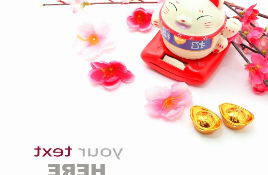 Oriental : guide race de chat