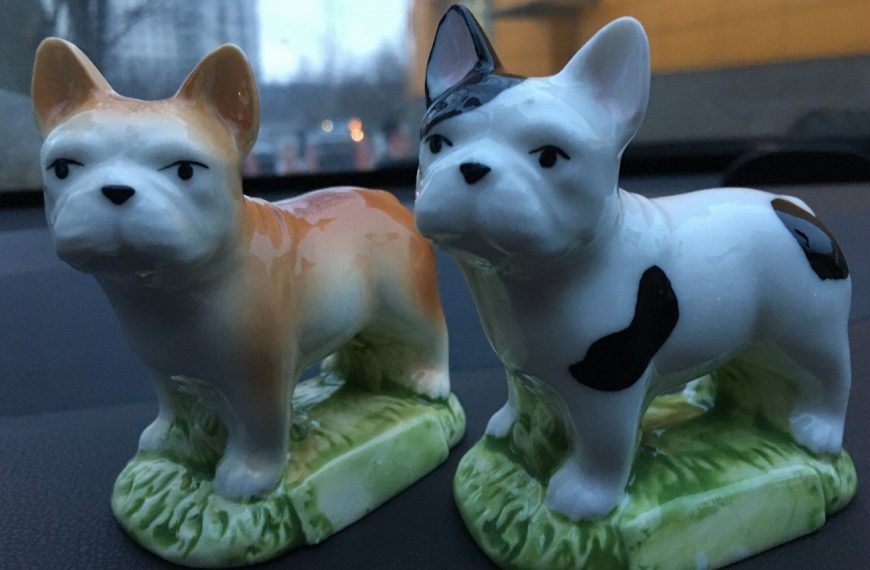 Porcelaine : guide race de chien