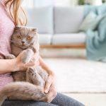 Révélation: la méthode infaillible pour apprendre à votre chat à rester seul à la maison sans dégâts !