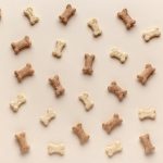 Révélations exclusives : Comment les jeux peuvent révolutionner la vie de votre chien !