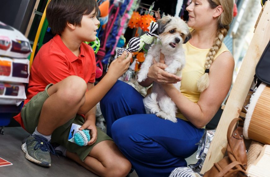 Révélations : Le secret pour choisir LE collier anti-aboiement parfait pour votre chien !
