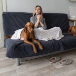 Révélez le secret ultime pour que votre chien reste calme à la maison – Plus jamais de destructions !