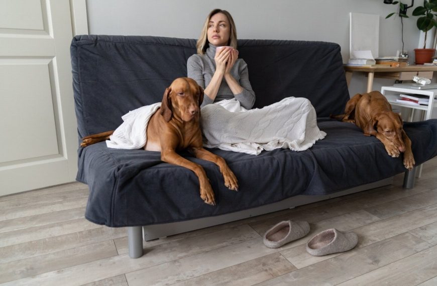 Révélez le secret ultime pour que votre chien reste calme à la maison – Plus jamais de destructions !