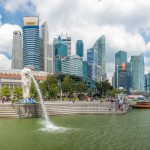Singapura : guide race de chat