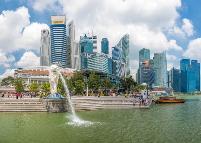 Singapura : guide race de chat