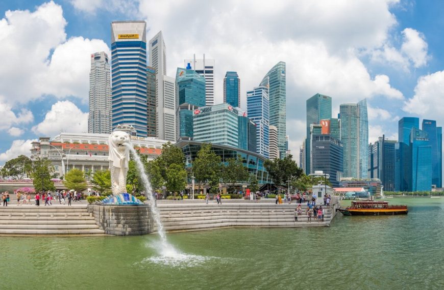 Singapura : guide race de chat