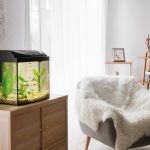 Votre guide ultime pour choisir le parfait aquarium qui correspond à vos besoins !