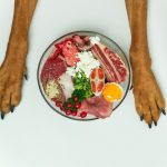 Vous ne croirez pas les bienfaits incroyables de l&rsquo;alimentation naturelle pour votre chien !