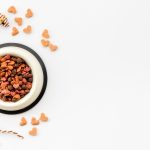 Vous ne devinerez jamais ces 5 symptômes d&rsquo;allergies alimentaires chez votre chat – Découvrez les solutions dès maintenant !