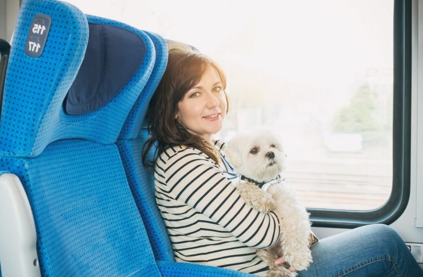 Voyager avec votre chien en train à grande vitesse : les astuces indispensables pour des vacances inoubliables !