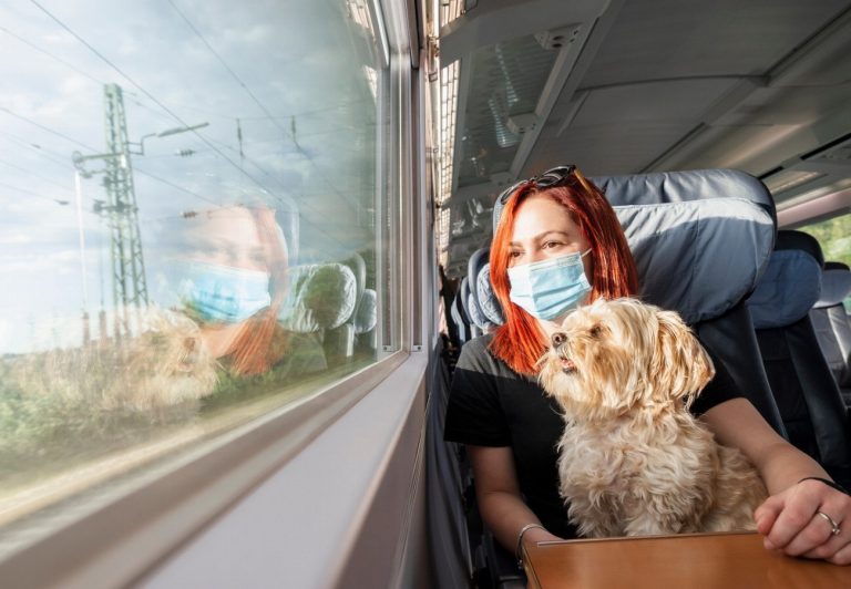 Voyager en train avec un chien anxieux :…