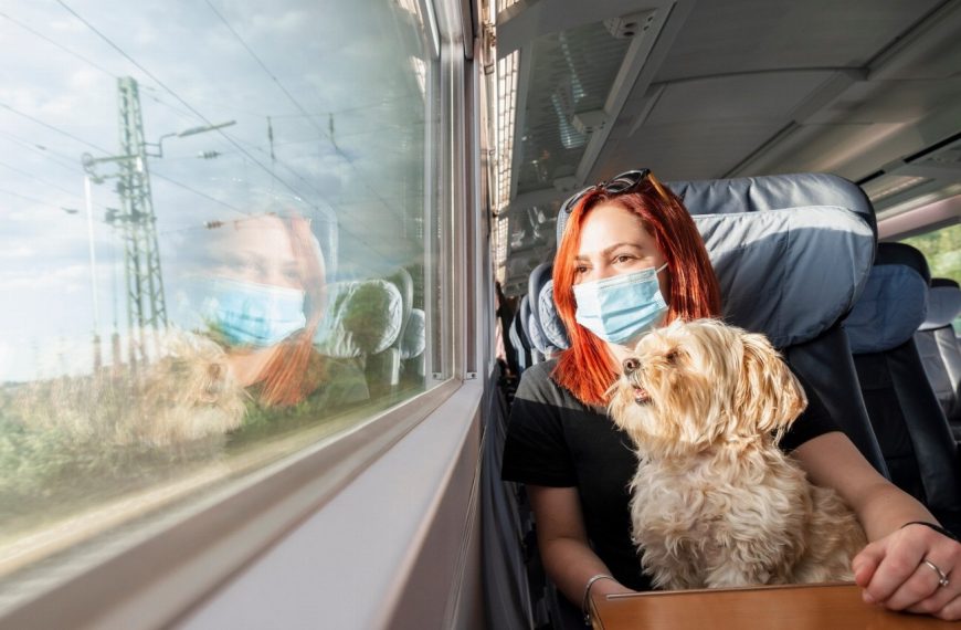Voyager en train avec un chien anxieux : les secrets d’une expérience sans stress !