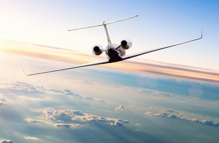Voyagez en avion privé avec votre chien : Les secrets pour un vol parfait !