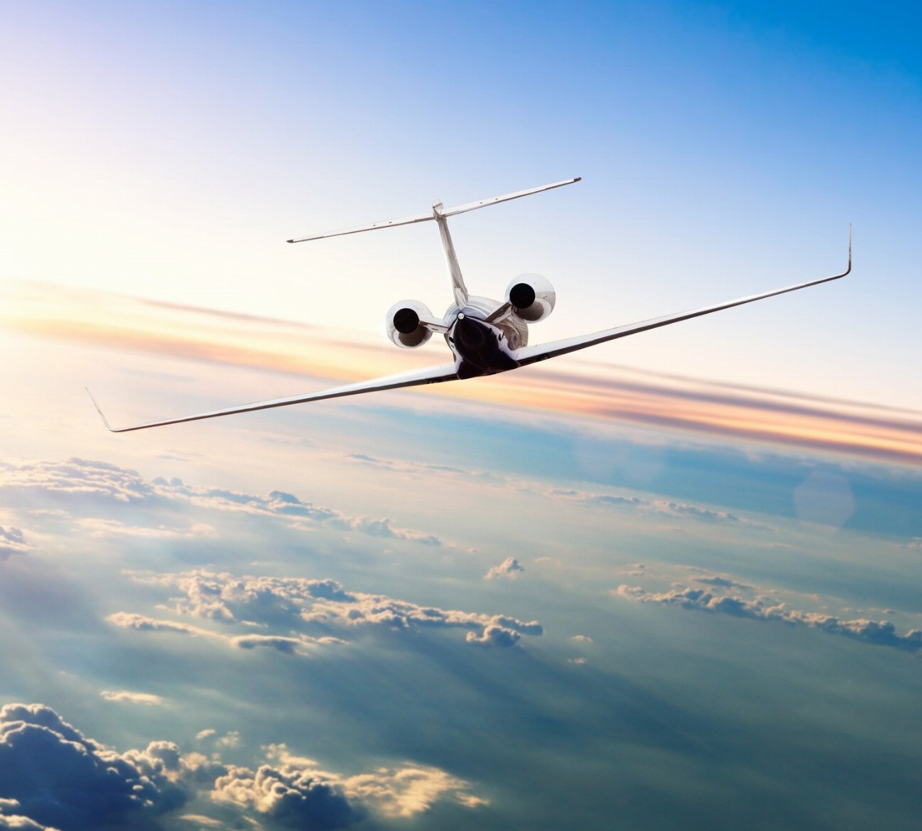 Voyagez en avion privé avec votre chien : Les secrets…