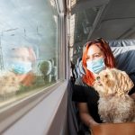 Voyagez en train avec votre chien sans soucis : découvrez nos astuces imparables !
